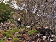 27 Da qui in poi la cima del Corno Zuccone riporta marcati segni di incendio estivo